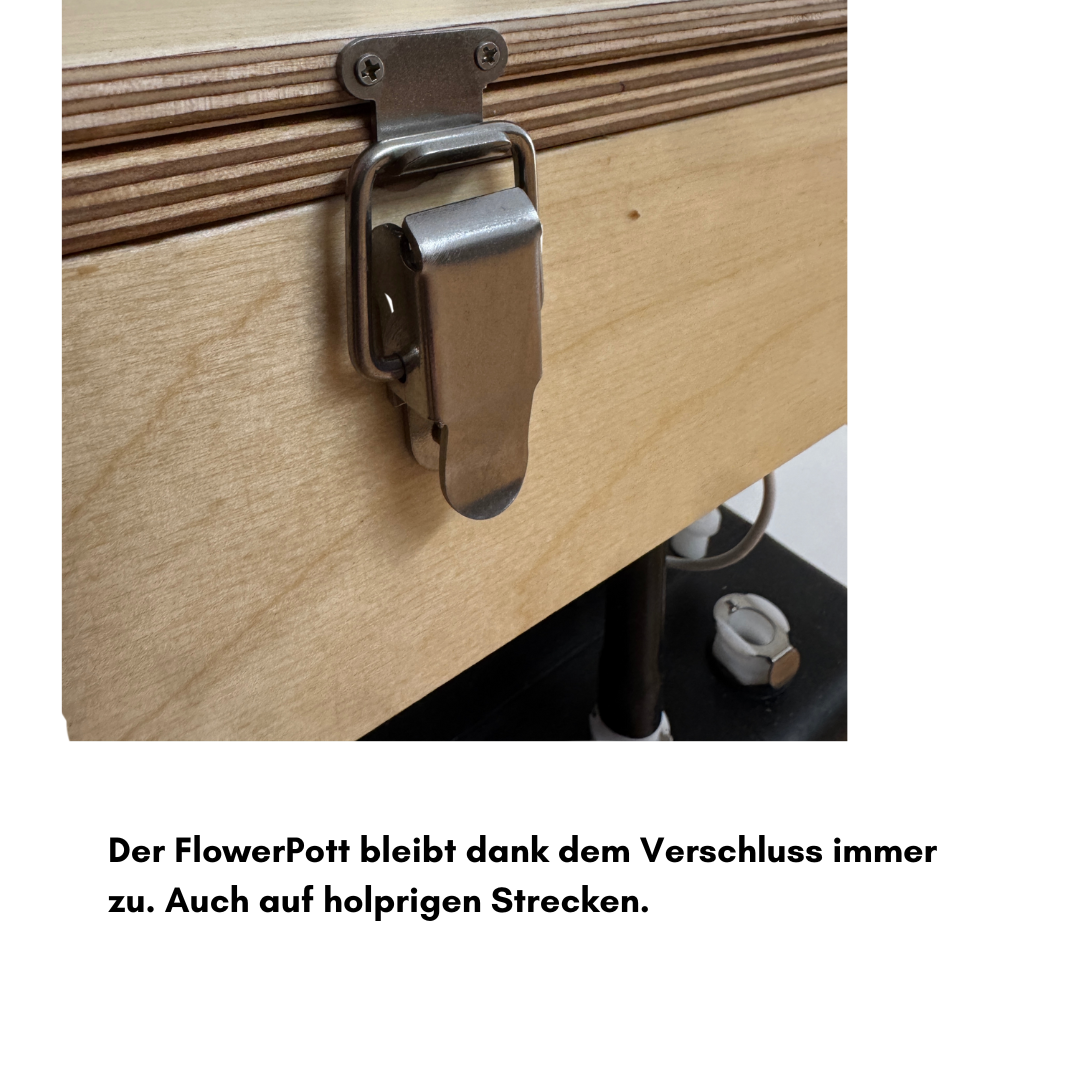 Kompost-Trenntoilette Flower Pott Magnolia